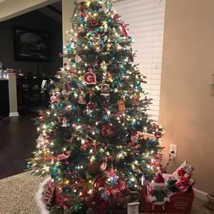 Meet your Posher, Heidi